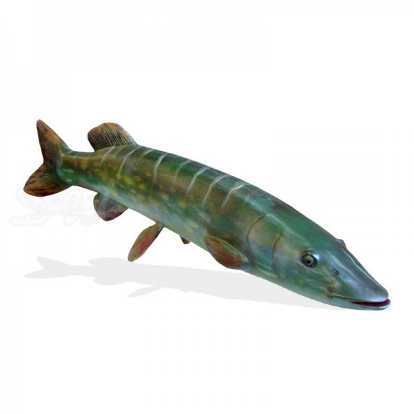 D&W Collection Deko Werbe Tier Figur Hecht Fisch Fish lebensgroß Raubfisch Speisefisch Angeln Meer maritim Zoo Aquarium Tierpark Dekoration Werbung Skulptur Aufsteller günstig online kaufen