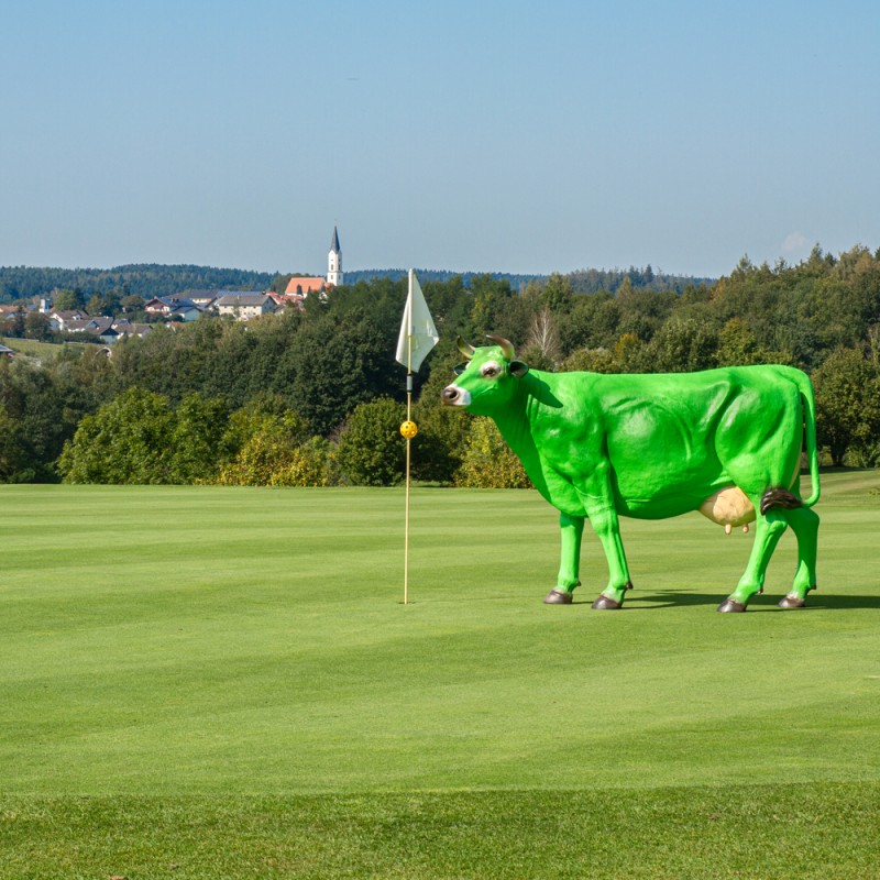 Ref-Kuh-Golfplatz
