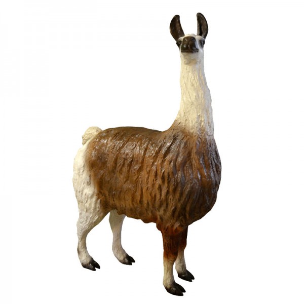 D&W Collection Deko Werbe Tier Figur Kamel Lama natürlich bemalt lebensgroß Zoo Tierpark Südamerika Wildtiere Dekoration Garten Werbung Skulptur Aufsteller günstig online kaufen