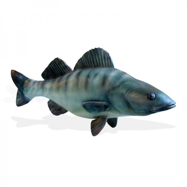 D&W Collection Deko Werbe Wild Tier Figur Zander Fisch Fish lebensgroß 150 cm Süßwasser Barsch Speisefisch Angeln Meer maritim Zoo Aquarium Tierpark Dekoration Werbung Skulptur Aufsteller günstig online kaufen