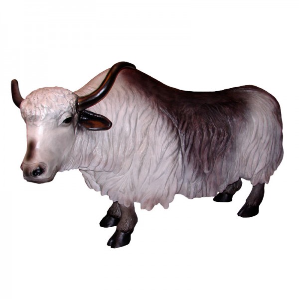 D&W Collection Deko Werbe Tier Figur Yak Rind Grunzochse Ochse lebensgroß Zoo Tierpark Asien Wildtiere Dekoration Garten Werbung Skulptur Aufsteller günstig online kaufen