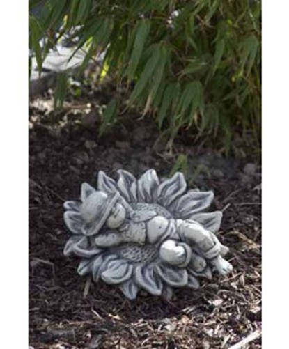 Sprössling SONNENBLUME